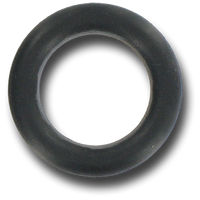 Dimension One Drain Plug O'Ring Aquaflo FMXP - 01512-275