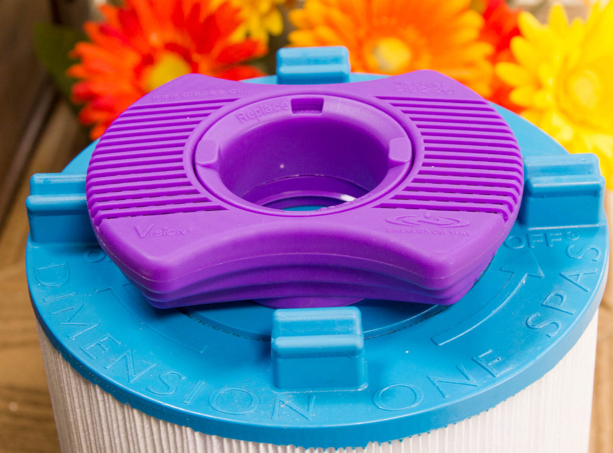 Filtre Désinfectant Vision Pour Spa/jacuzzi Dimension One - Système à L'argent, Réduit L'usage De Chlore - Durée 6 Mois